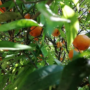 Lumie Di Sicilia Porto Empedocle